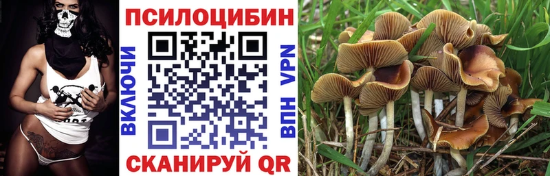 Галлюциногенные грибы мицелий  Купить закладки  Суздаль 
